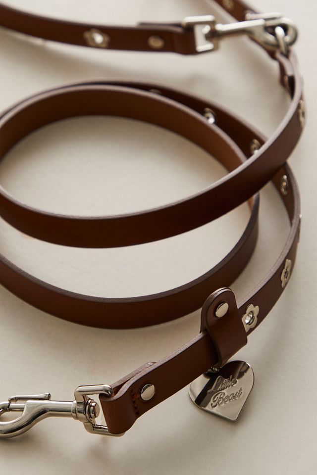Flower Power Leash #1