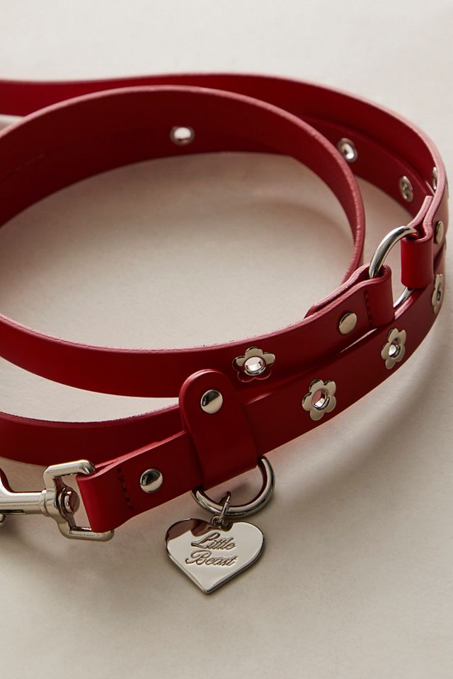 Flower Power Leash #1