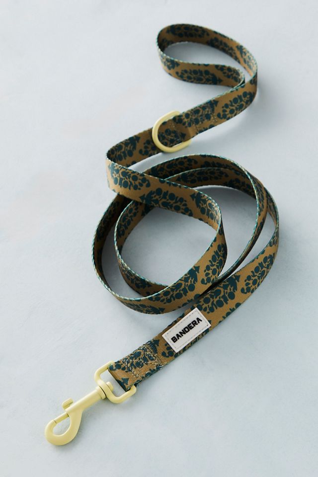 FP Movement x Bandera Buti Logo Leash #2