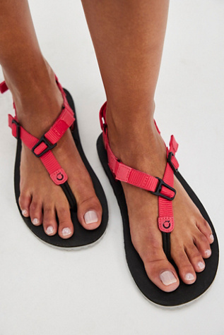 H-Trail Packable Sport Sandals by Xero Shoes at Free People in Raspberry, Size: US 7