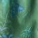 Green Combo