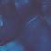 Blue Whale