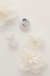 Rosette Shoe Charm Set