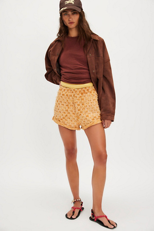OneTeaspoon Hunters Gingham Denim Shorts at Free People in Yellow, Size: Large