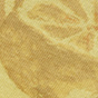 Citrus Combo