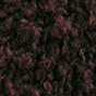 Chocolate Plum