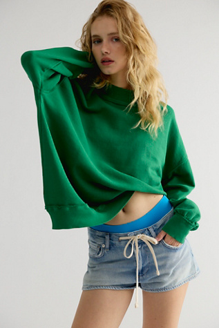 We The Free Palm Springs Pullover at Free People in Green Bee, Size: Medium