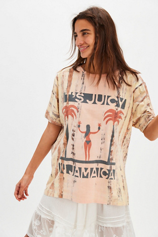 OneTeaspoon It's Juicy In Jamaica Boyfriend Tee at Free People in Pink, Size: XS
