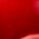 Corail Rouge