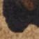 Neutral Motif
