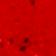 Red Poppy