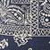 Bandana Blue