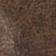 Vintage Brown