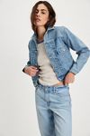 Levi's Classic Type II Trucker Jacket