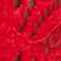 Atlas Red