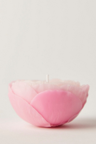 Peony Candle at Free People in Pink