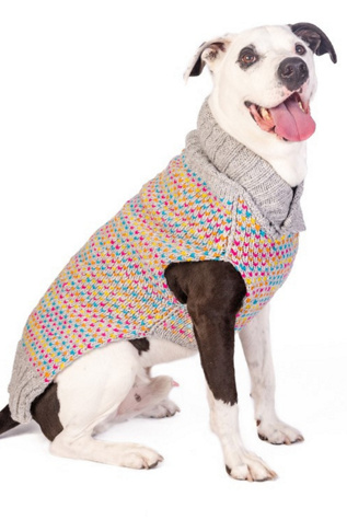 Chilly Dog Sprinkles Dog Sweater at Free People, Size: 2XS
