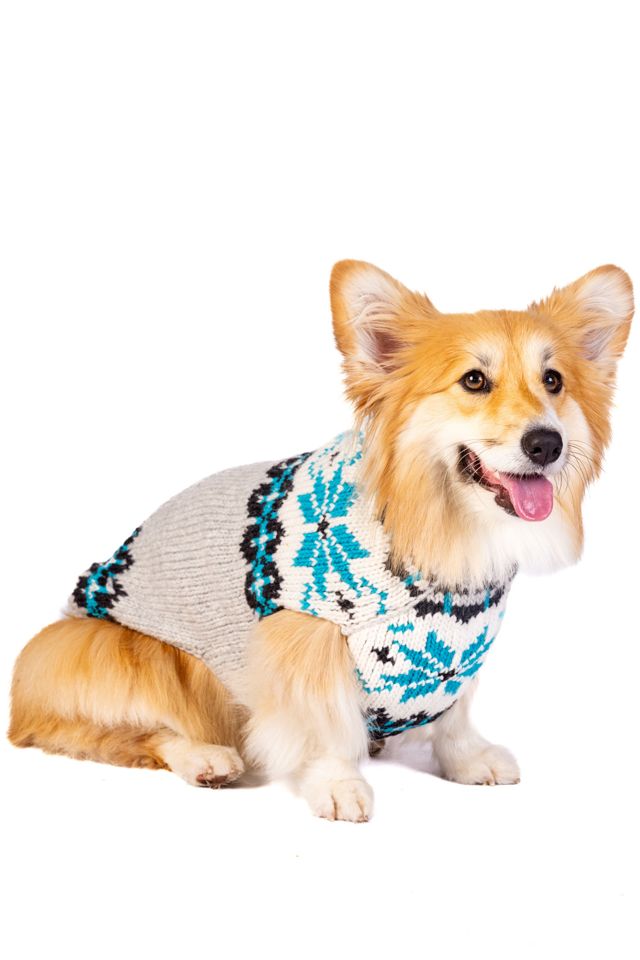 Chilly Dog Frost Dog Sweater #1