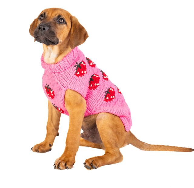 Chilly Dog Strawberry Dog Sweater #3
