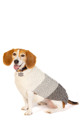 Chilly Dog Color Block Cable Dog Sweater at Free People in Grey, Size: 3XL