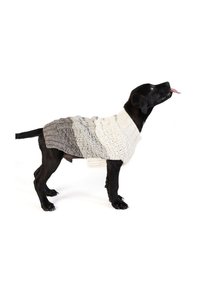 Chilly Dog Color Block Cable Dog Sweater #3