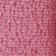 Pink Carnation