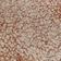 Tan Almond