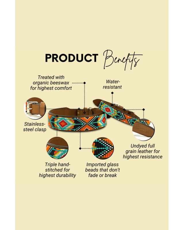 Sambboho Biarritz Dog Collar #2