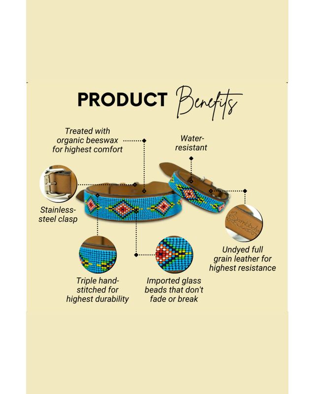 Sambboho Blue Vogue Dog Collar #2