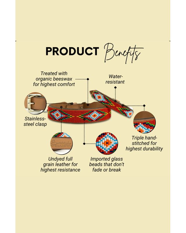 Sambboho Red Vogue Dog Collar #2