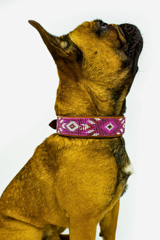 Sambboho Melrose Dog Collar at Free People in Red, Size: 2XL