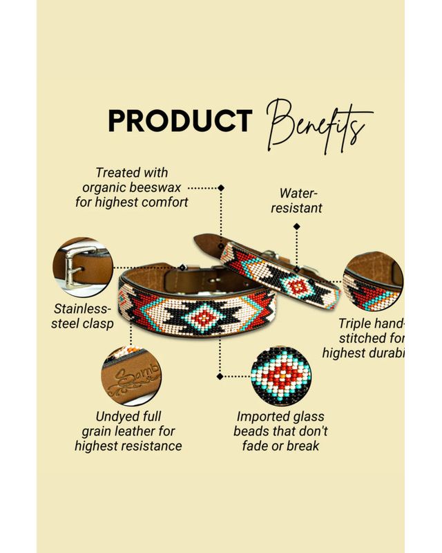 Sambboho Phoenix Dog Collar #2
