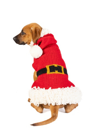 Chilly Dog Santa Dog Sweater at Free People in Red, Size: 2XS