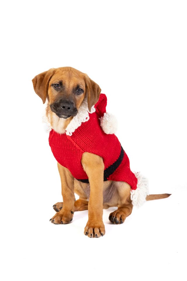 Chilly Dog Santa Dog Sweater #2