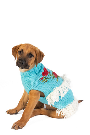 Chilly Dog Rodeo Dog Sweater at Free People, Size: 3XL