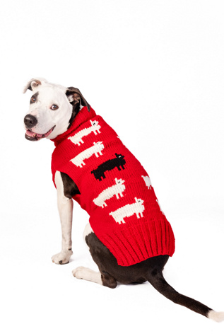 Chilly Dog Black Sheep Dog Sweater at Free People in Red, Size: XS