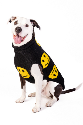 Chilly Dog Smiley Dog Sweater at Free People in Black, Size: 3XL