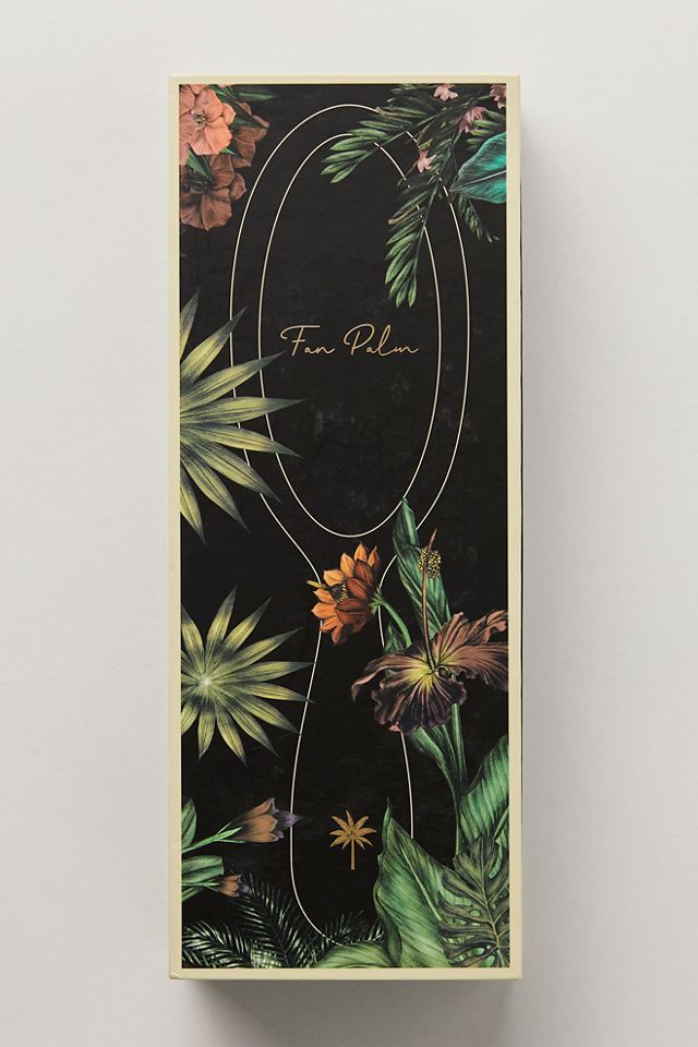 Fan Palm Large Hair Brush #3