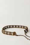 Harvest Chain Belt
