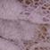 Plum Ash