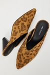 Stellar Mules