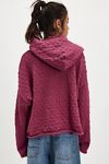 Lake Side Hoodie