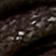 Coconut Shell