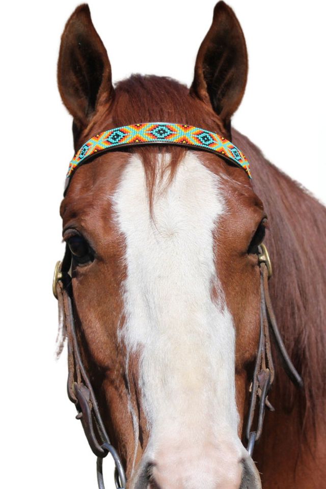 Sambboho Bahamas Horse Browband #3