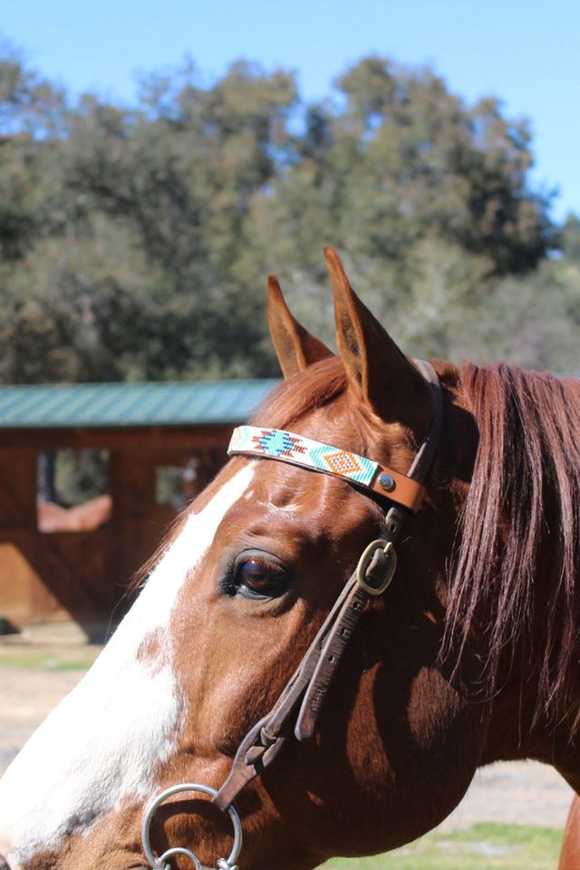 Sambboho Aztec Horse Browband #4