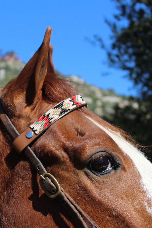Sambboho Phoenix Horse Browband #1