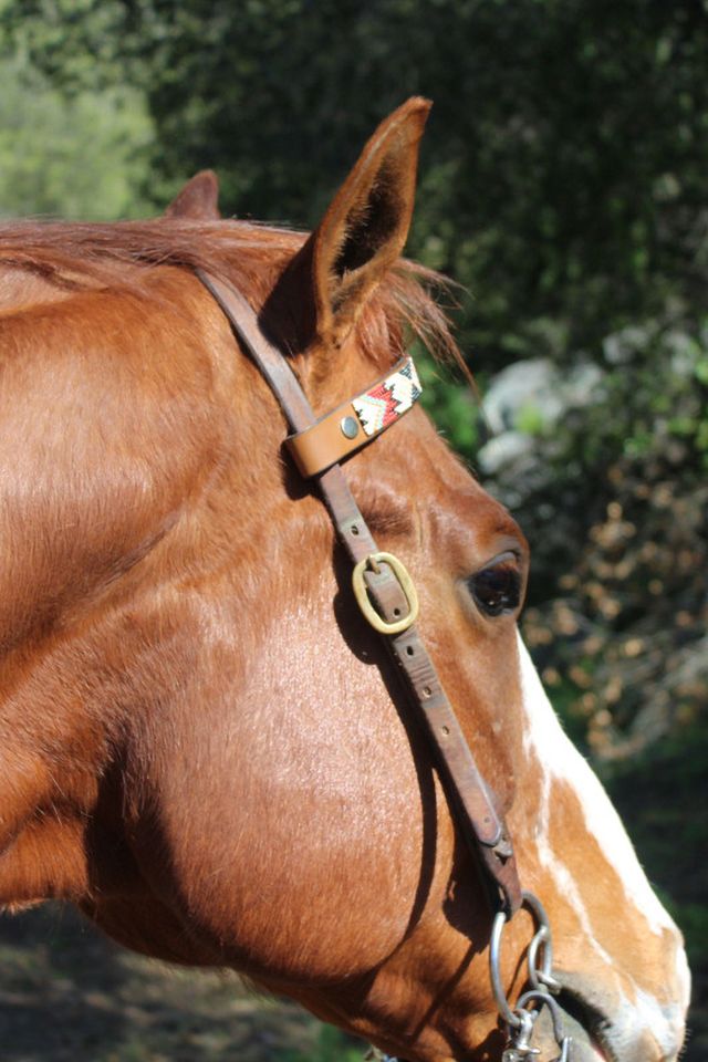 Sambboho Phoenix Horse Browband #4