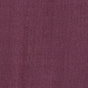 Renaissance Rose