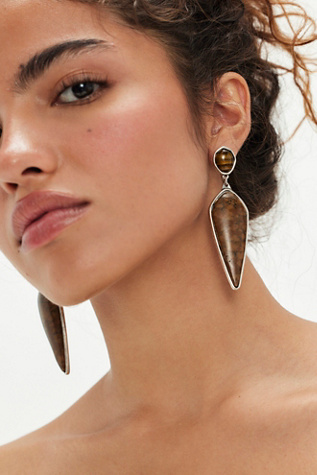 Star Dust Dangle Earrings at Free People in Tigers Eye And Brass