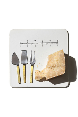 PUEBCO Engraved Cheese Knife Set at Free People in Silver